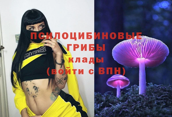 соль курить ск Алексеевка