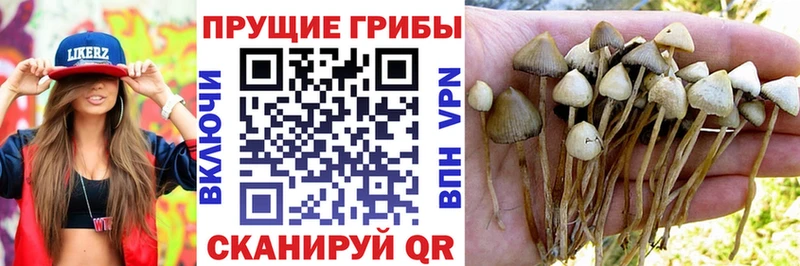 Галлюциногенные грибы мицелий Лобня