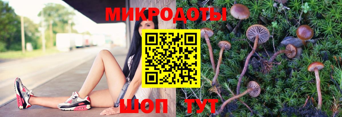 Псилоцибиновые грибы мухоморы  цены наркотик  Лобня  Галлюциногенные грибы GOLDEN TEACHER  Вход с VPN 