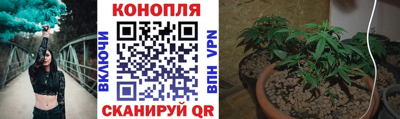 Каннабис VHQ  Лобня 